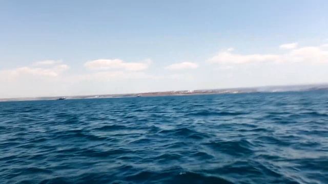 Севастополь, Омега смотреть онлайн