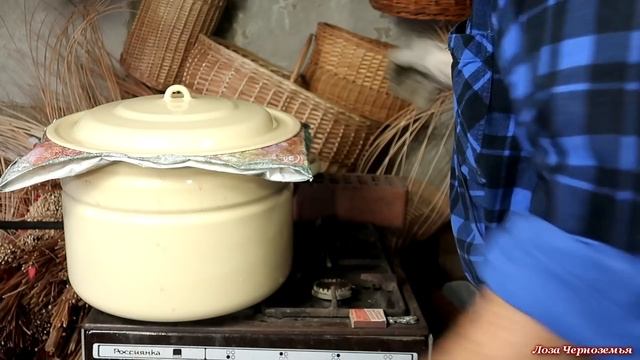 Варка прутьев ивы для очистки от коры. Самый простой способ смотреть онлайн