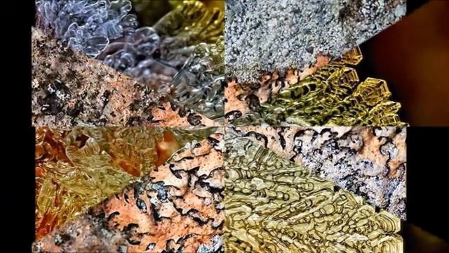 Хочу весну! смотреть онлайн