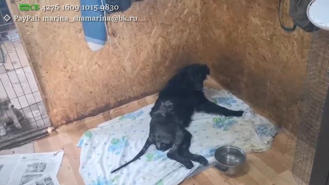 В ДОРЕ всё по-прежнему: дела, заботы, проблемы и маленькие радости!??? смотреть онлайн