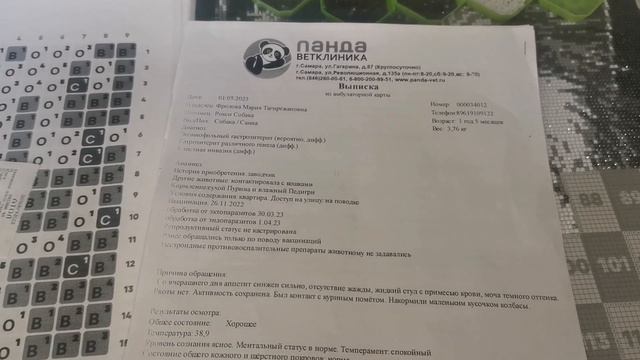 ☀️VLOG НОВЫЙ ВКУСНЫЙ СОРТ 🥝СОБИРАЕМ АЛМАЗНУЮ МОЗАЙКУ🐕ИСТОРИЯ ПРО ВЕТКЛИНИКУ🍣ЗАКАЗАЛИ РОЛЛЫ(2 ЧАСТЬ) смотреть онлайн