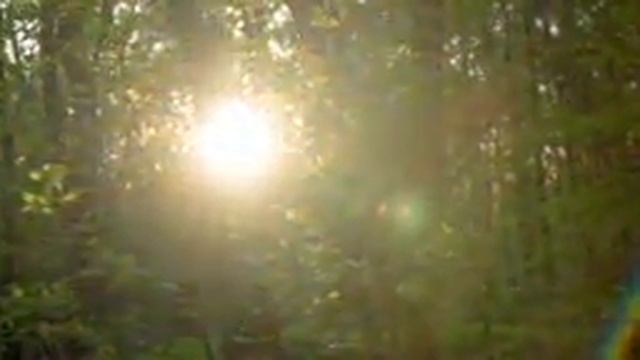 Лучшие звуки дождя для релакса, сна, отдыха и медитации смотреть онлайн