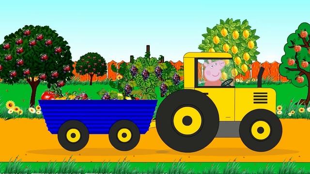 Свинка Пеппа на тракторе. Собираем урожай фруктов и ягод. Мультик для детей смотреть онлайн