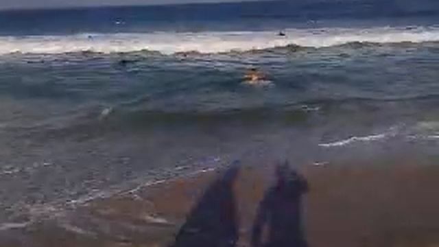 Tutorial de como entrar na agua gelada da praia смотреть онлайн