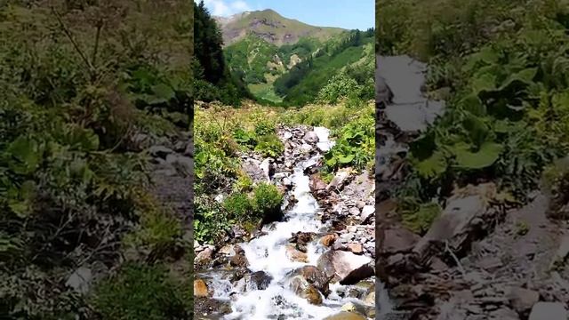 Пять проведенные в горах в этом маленьком видео Абхазия ? смотреть онлайн