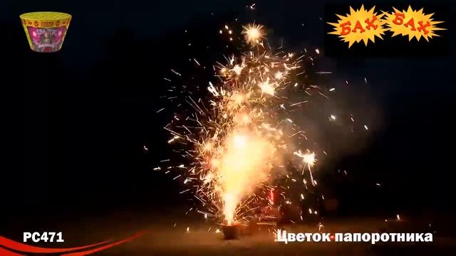 РС471: Цветок папоротника смотреть онлайн