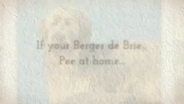 Berger de Brie Behavior смотреть онлайн