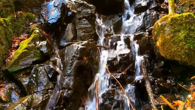 Soothing Little Water Stream. Relaxing Nature Sounds. (10 hours). White noise for sleeping. смотреть онлайн
