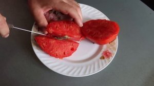 ? Томат БУДЕНОВКА| Крепкий середнячок