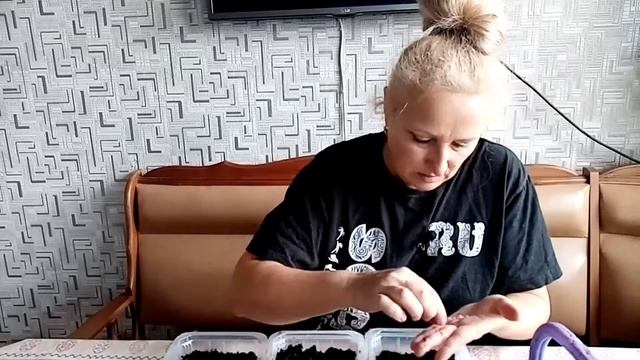 ?Весенняя обработка клубники?Ягодные кустарники ?Сеем семена любимых цветов? смотреть онлайн