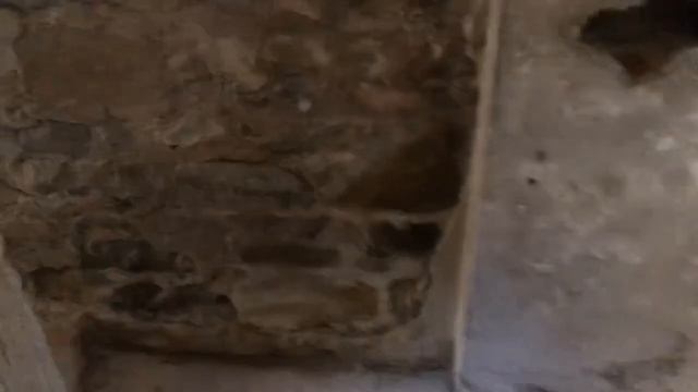 Дача полковника Квитко в Сочи.