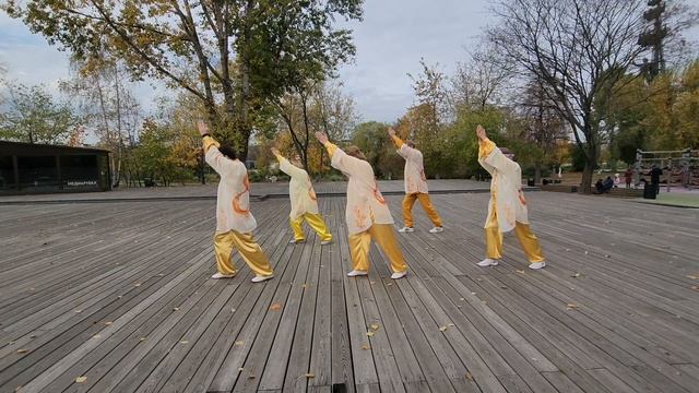 Да Ву под песню "Подмосковные вечера" промо ролик, команда "Жар Птица" смотреть онлайн