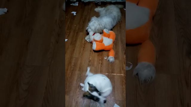 ВЕСЕЛЬЕ ЗАШКАЛИВАЕТ! смотреть онлайн