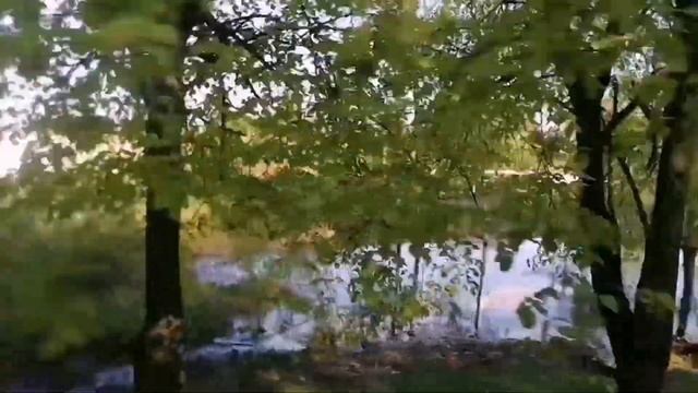 803. Экскурсия по городу Бобруйску, часть первая #бобруйск #беларусь #весна2023 смотреть онлайн