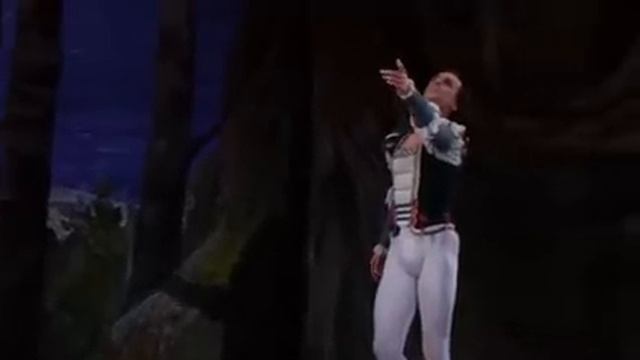 Swan Lake - Tchaikovsky