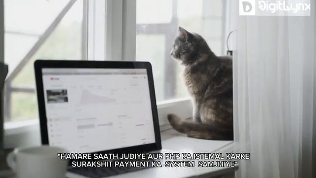 ? LearnPens Exciting News: Master Payment Gateways in PHP for SMM Scripts! смотреть онлайн