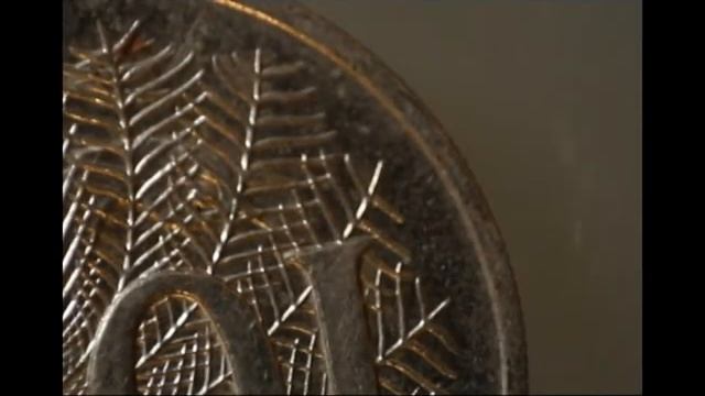 Canon EOS 1000D Macro Video смотреть онлайн