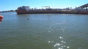 Рыбалка  Ростов на дону  Набережная