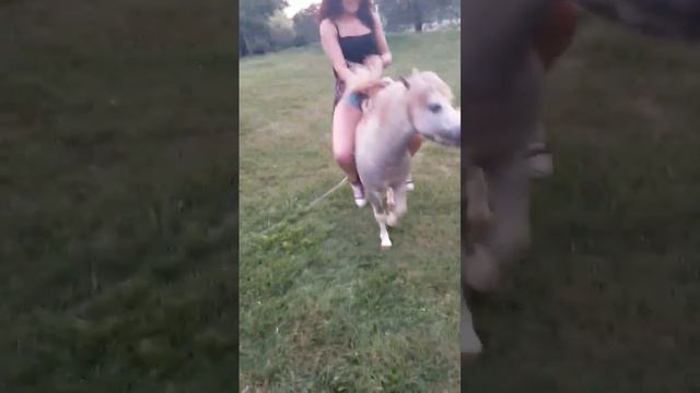 My turn to ride the pony смотреть онлайн
