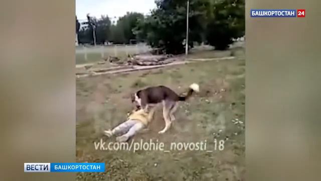 ШОК на девочку напала собака. Взрослые не могут нече сделать.. смотреть онлайн