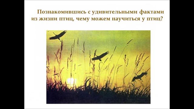 Материал к урокам ИЗО по теме: 