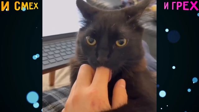 ЭКСТРИМ НА ПЛЯЖЕ | ОТБОРНЫЕ ПРИКОЛЫ | И СМЕХ И ГРЕХ смотреть онлайн