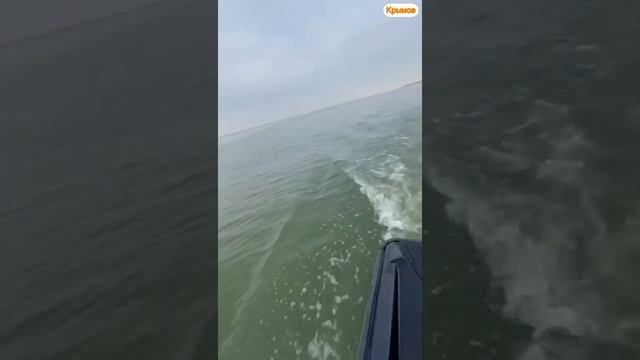 ОТДЫХ В ДАГЕСТАНЕ 2021. Один день из жизни КРЫМОВ смотреть онлайн