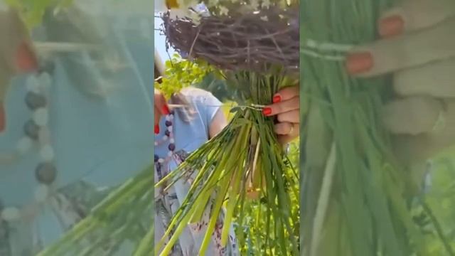 Приглашение на Мастер Класс "Букет на каркасе - полевой" смотреть онлайн