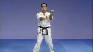 ВСЕ КАТА (Киокушинкай Карате - Kyokushin Karate)