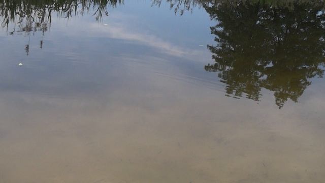 Недалеко от Памятника Летчикам. смотреть онлайн