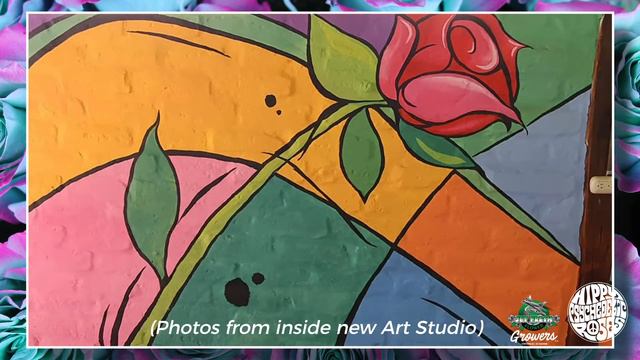 JFTV: Jet Fresh Flower Growers' New Hippy Psychedelic Rose Art Studio! смотреть онлайн