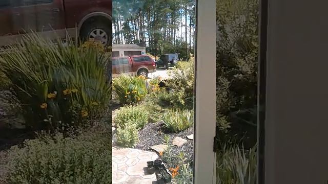 What is for lunch(2) смотреть онлайн