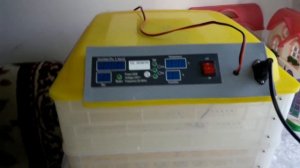 Китайский Инкубатор. Как сбросить счетчик дней