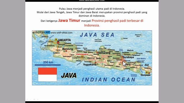 Padi dan cara melestarikannya || Tema 3 || Kelas 4 || Subtema 1 || Pembelajaran 1 смотреть онлайн