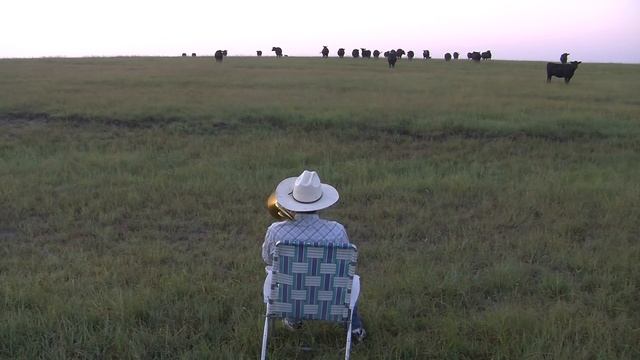 Serenading the cattle with my trombone (Lorde - Royals) смотреть онлайн