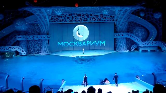 Москвариум ВДНХ смотреть онлайн