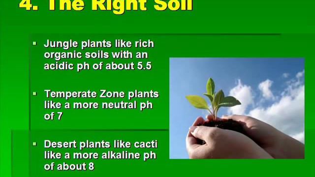 Gardening Tips and Tricks: Learn How to Grow an AMAZING Garden in Containers! смотреть онлайн