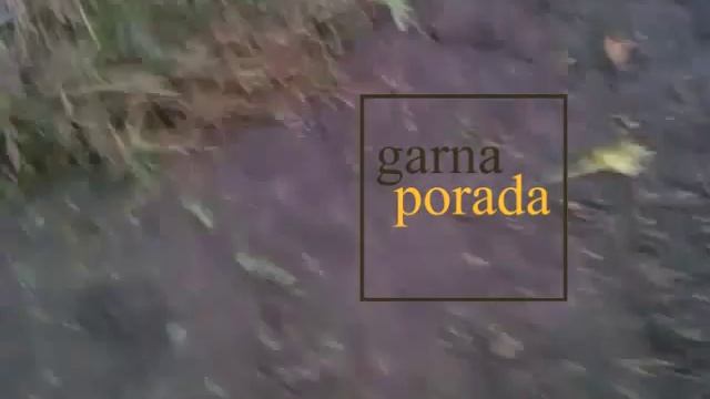 Когда нужно убирать картофель с полей и огородов смотреть онлайн