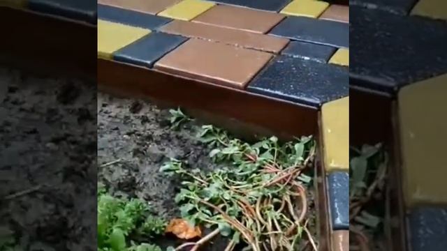 УютДвор Укладка тротуарной плитки смотреть онлайн