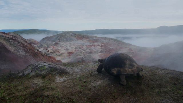 Meditation an Relax Music. смотреть онлайн