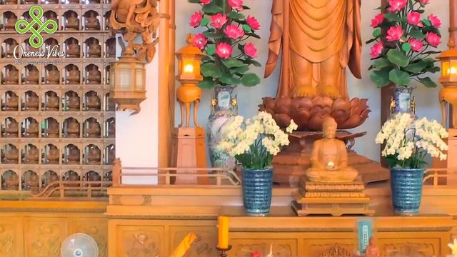 What is Attachment? Buddha Story in English | Buddha Stories | Buddha Teachings | Buddha Quotes смотреть онлайн