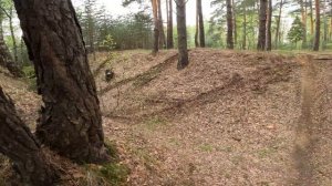 REGULMOTO CROSSTREC 300. ПЕРВЫЙ ВЫЕЗД. ДУБАСИМ ПО БУГРАМ