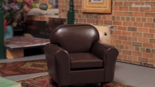 "Central Fluff: 'Friends' Remade With Hamsters" смотреть онлайн