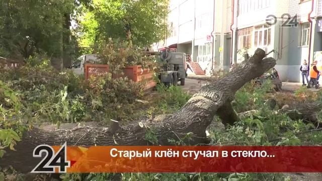 Столетний американский клен рухнул на иномарки смотреть онлайн