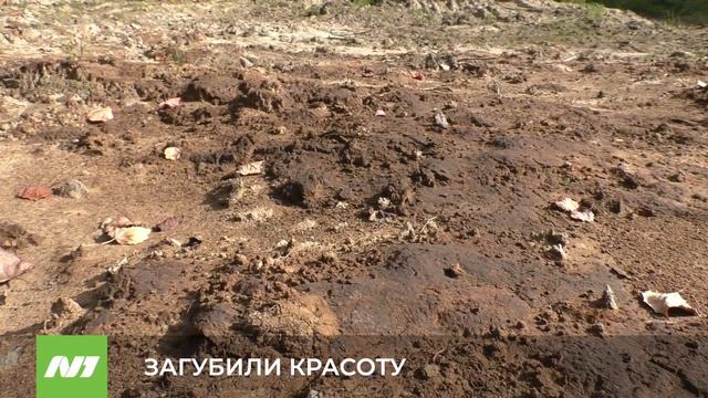 ЗАГУБИЛИ КРАСОТУ смотреть онлайн