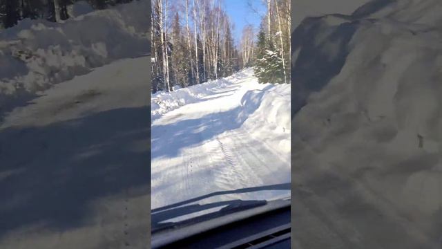 мороз и солнце день чудесный best music and a beautiful winter forest #это_мужской_канал #construct смотреть онлайн