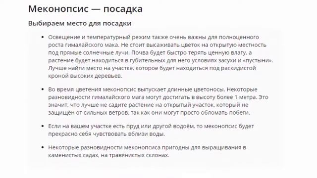 Меконопсис, посадка и уход смотреть онлайн