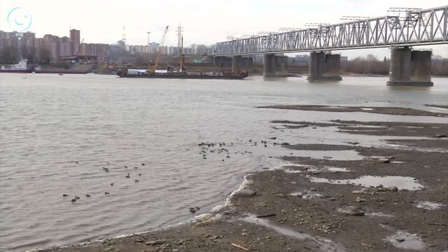 Нашествие синиц и зимовье диких уток. Как погодные аномалии повлияли на миграцию перелётных птиц? смотреть онлайн