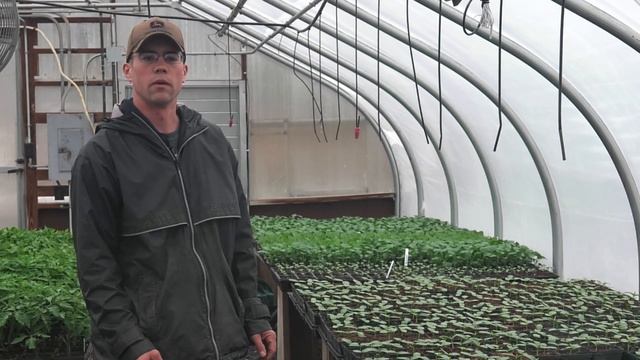 The Basics of Greenhouse Gardening смотреть онлайн