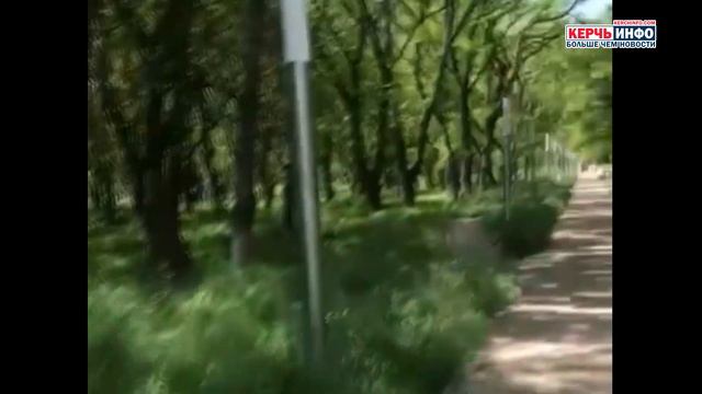 «На дальней станции сойду, трава по пояс»: Керчь заросла травой смотреть онлайн